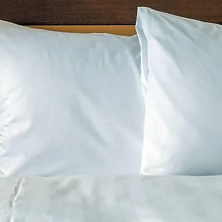 Otel Express Frankfurt Airport - By Ihg 3*