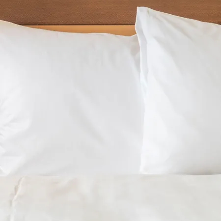 Otel Express Frankfurt Airport - By Ihg Raunheim