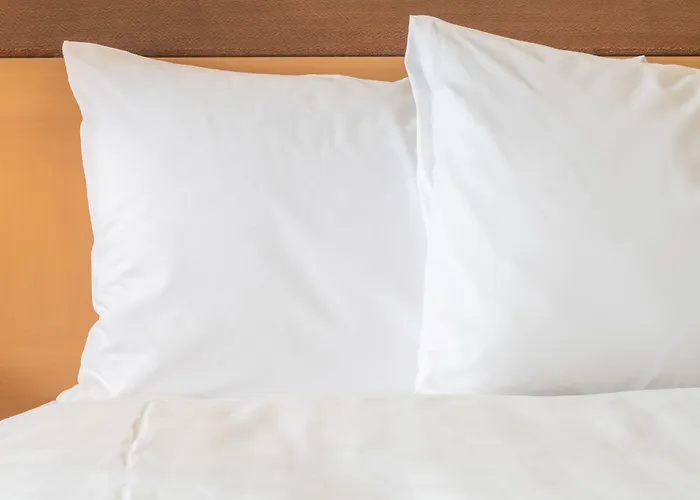 Express Frankfurt Airport - By Ihg فندق