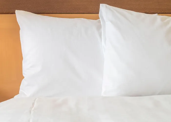 Express Frankfurt Airport - By Ihg فندق رونهيم